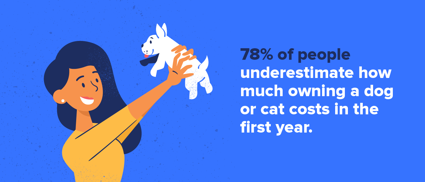 78% of people underestimate how much a pet costs in the first year