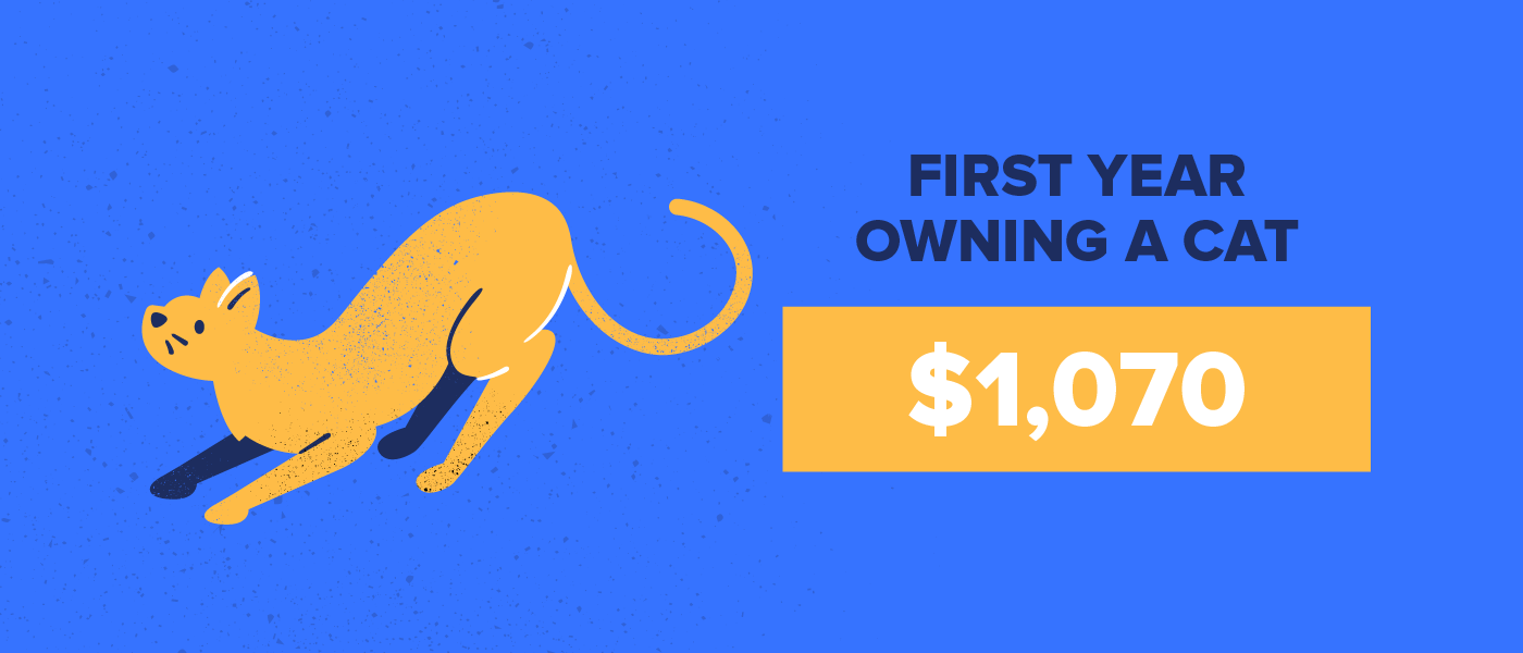 first year of owning a cat costs $1,070
