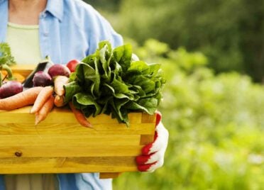 How Much Can Gardening Help You Save on Produce?