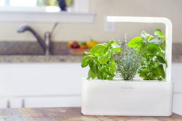 Click & Grow Smart Garden