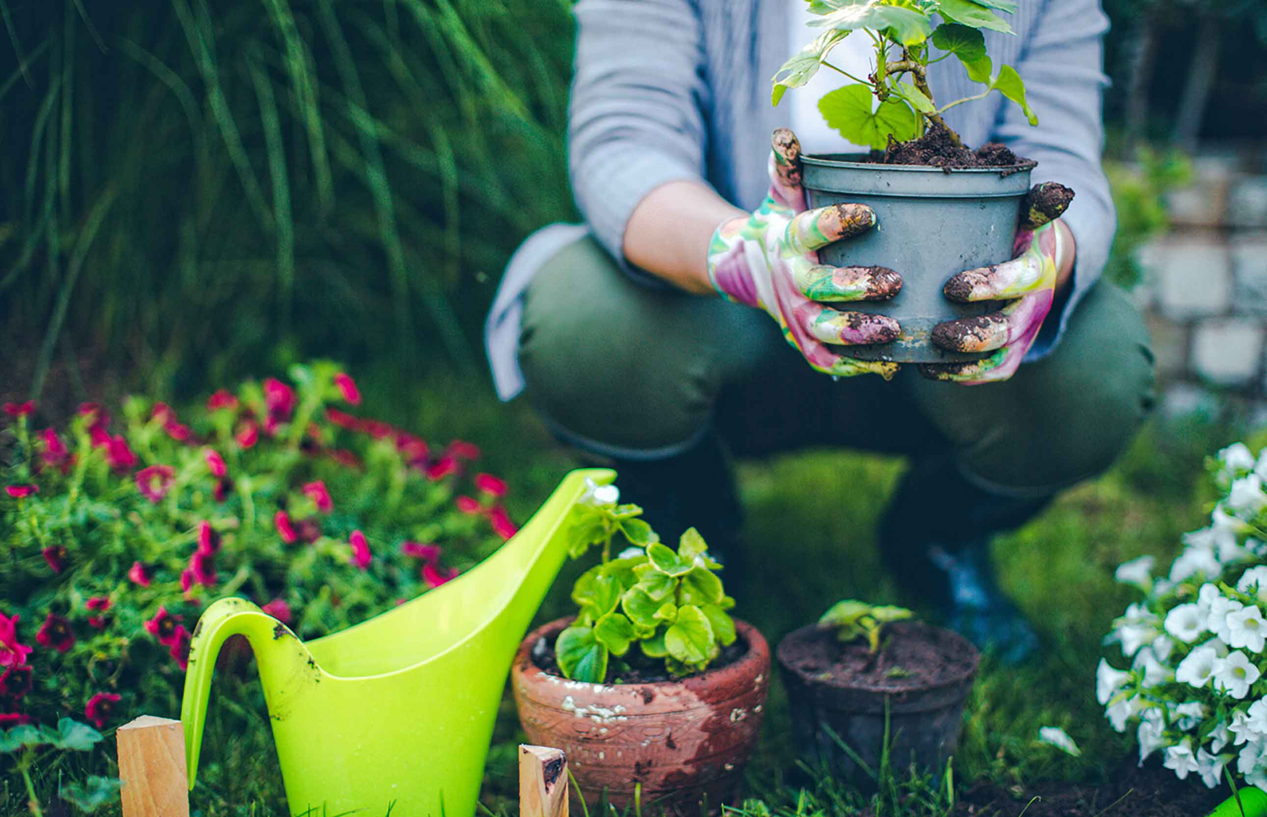 A summer garden can be a wonderful hobby and investment when you follow these money saving tips!