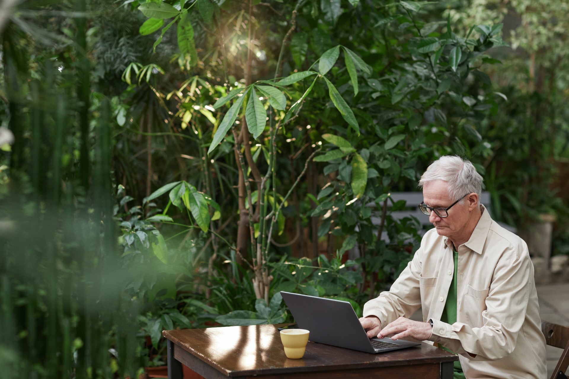 An older man sits at a table on a laptop, surrounded by lush greenery.
