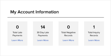 Free Credit Report Summary - Account Mix
