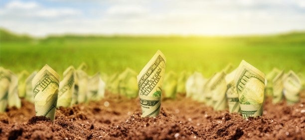 Money growing in field to show the value of compound interest